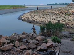 -上海吴淞炮台湾国家湿地公园