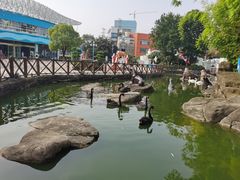 -海合安武汉极地海洋公园
