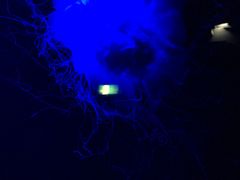 -西海国立公园九十九岛水族馆