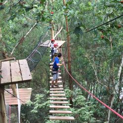 -成都飞越丛林(锦绣城园区)