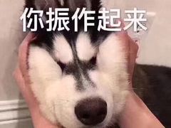 -牛头鱼庄·地道广西菜(西明店)