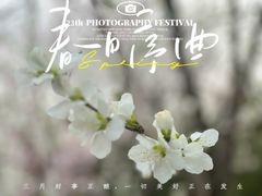 -三里河公园