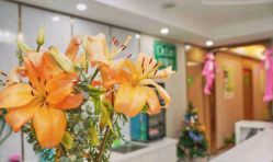 -Dr.林醫生产后修复·配方产康店(南京大厂店)