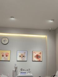 -洗脸猫·洗脸吧