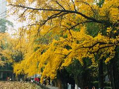 -四川大学(华西校区)