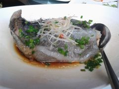 海参斑-唐廊烤鸭店(工体店)