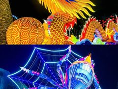 -淄博花灯齐彩城