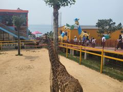 -西霞口神雕山野生动物世界