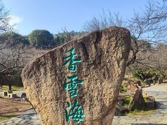 -香雪海