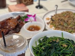 -将军烧鹅海鲜酒楼