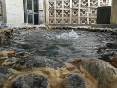 -春晖园度假酒店温泉