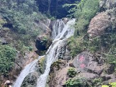 -栾川竹海野生动物园