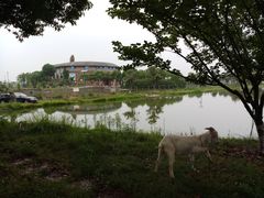-金龟岛渔村