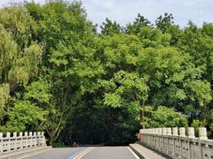 -同里国家湿地公园