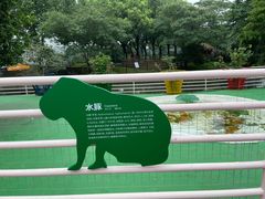 -苏州太湖西山岛开心农场