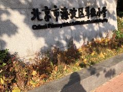 -北京市海淀区翠微小学