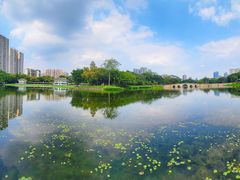 -荔湾湖公园