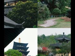 -温州博物馆
