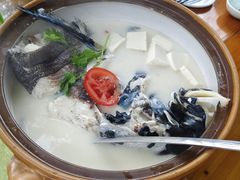 -全乐鱼馆·淳牌有机鱼直营店