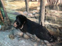 -北京动物园-畅观楼