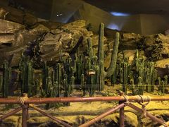 -皇家极地海洋世界-售票处