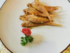 -和平官邸·花园餐厅(武定西路店)