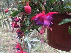 -北海金海湾红树林生态旅游区