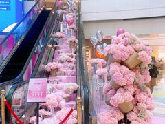 -鹏欣水游城