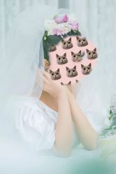 -金夫人婚纱摄影(总店)