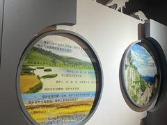 -中国西峡恐龙遗迹园