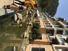 阳明温泉山庄-余姚阳明温泉山庄