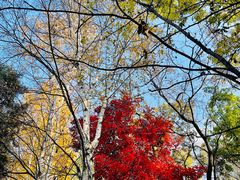 -长春市南湖公园