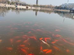 -西海子公园