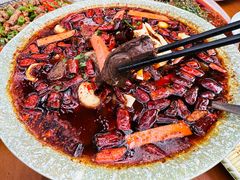 -青城甲(青城山店)