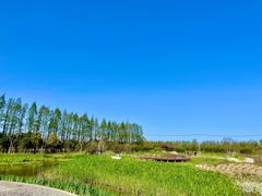-上海长兴岛郊野公园
