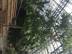 iphone_upload_pic-东部华侨城