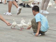 -天津妈祖文化园