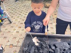 -南宁良凤江国家森林公园