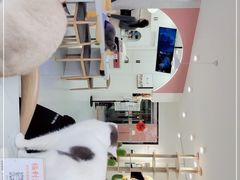 -喵园·猫主题咖啡厅·撸猫·猫咖(国贸店)