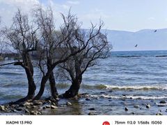 -洱海月湿地公园