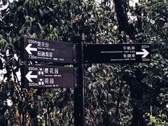 -东湖磨山景区