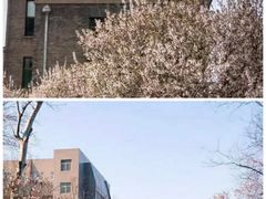 -山东师范大学(千佛山校区)