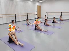 -中央芭蕾舞团·中芭艺蕾(酒仙桥明星校区)