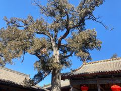 -广胜寺塔