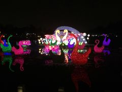 -映月湖公园