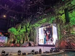 -广州长隆国际大马戏