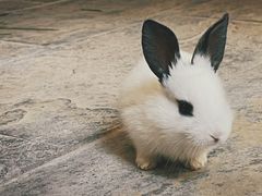 -北京山里寒舍度假酒店