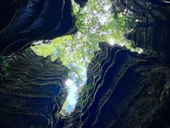 -梭布垭石林景区