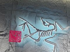 -ARC'TERYX始祖鸟(北京王府中环店)