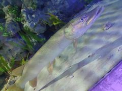 -东方巨龟苑景区